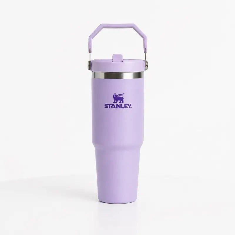 STANLEY IceFlow 2.0 Flip Straw Tumbler, 30 oz, Frost
Easy Carry Handle | Twist On Lid and Flip Up Straw | Leak Resistant Water Bottle | Insulated Stainless Steel | BPA-Free